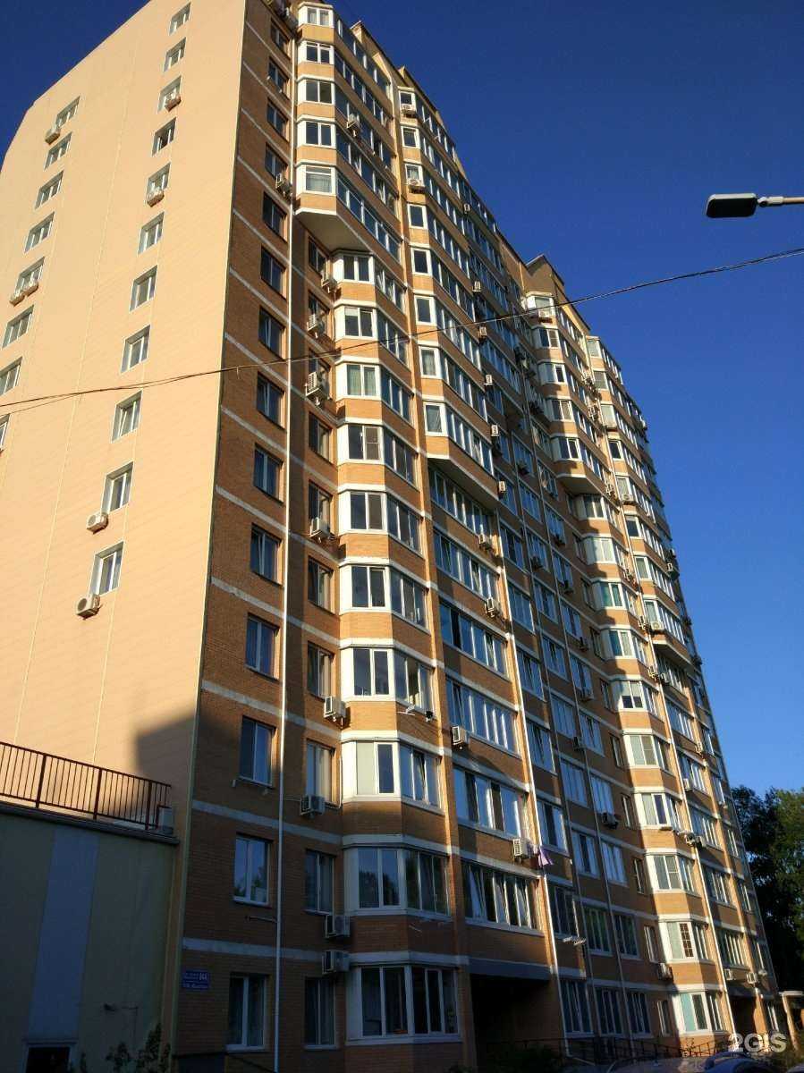 Отзывы на компанию Мауси в Владивостоке c фото - фотография 2 из 2