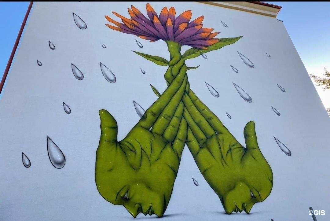 Отзывы на компанию Salles в Калининграде c фото - фотография 2 из 2