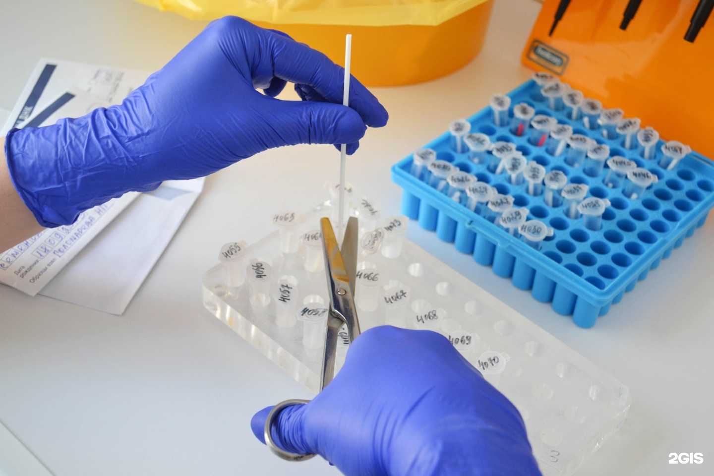 Отзывы на компанию Российский центр ДНК-тестирования в Кирове c фото