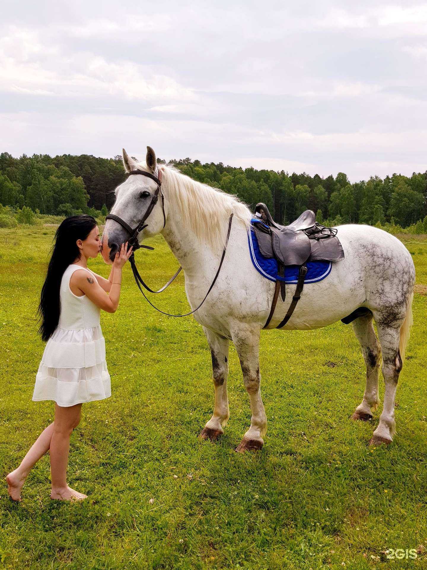 Отзывы на компанию Сивкина конюшня в Миассе c фото