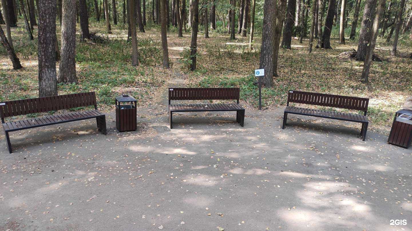 Отзывы на компанию Свайлевел в г. Ивантеевка c фото