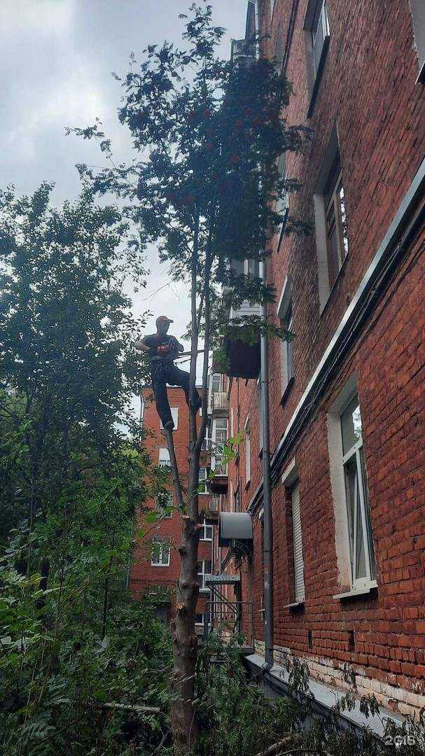 Отзывы на компанию Рем Благоустройство в Перми c фото