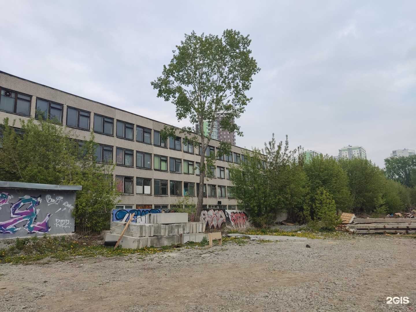 Отзывы на компанию Семена газона в Екатеринбурге c фото - фотография 2 из 2