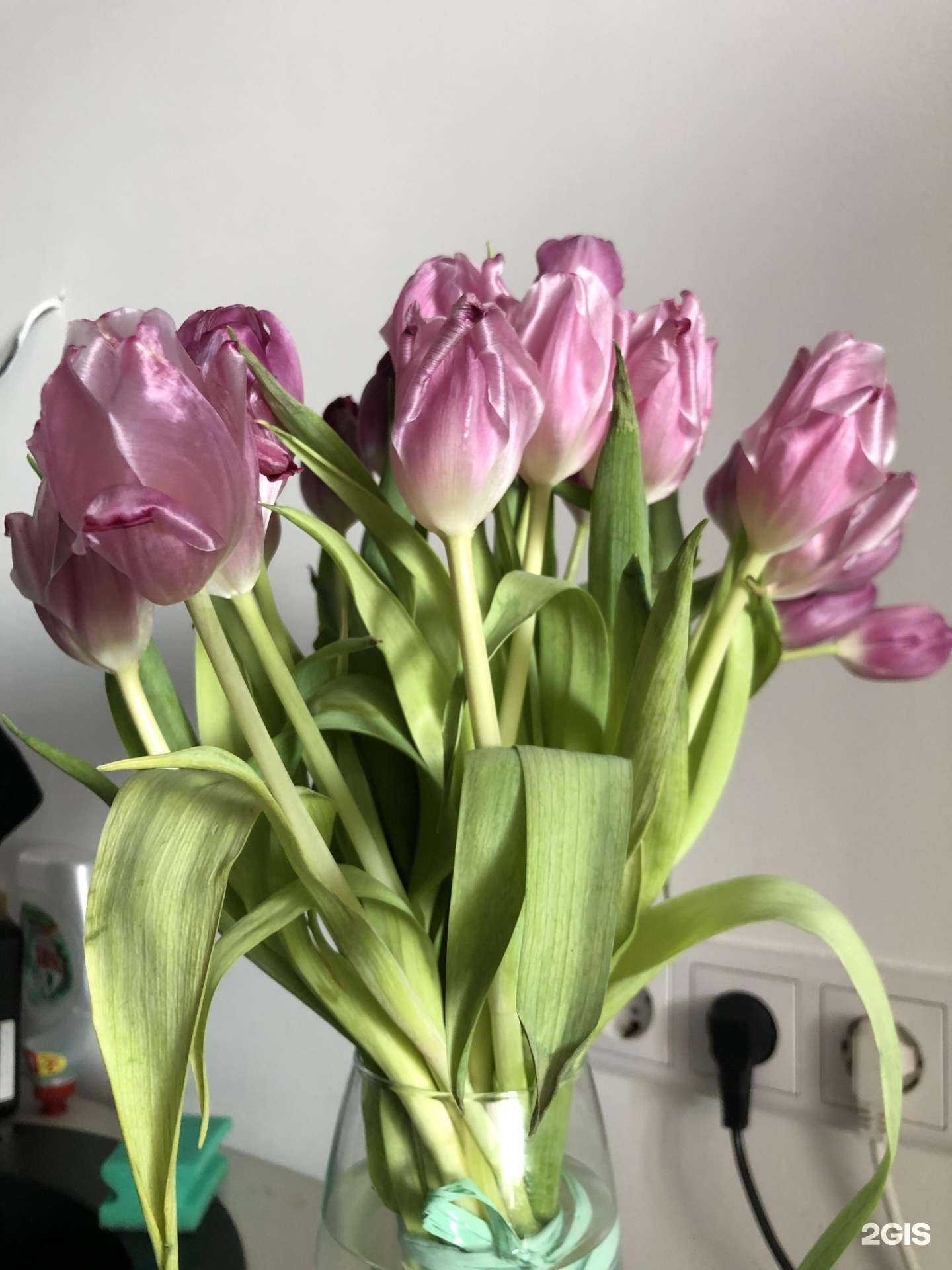 Отзывы на компанию Floмастер в Одинцове c фото