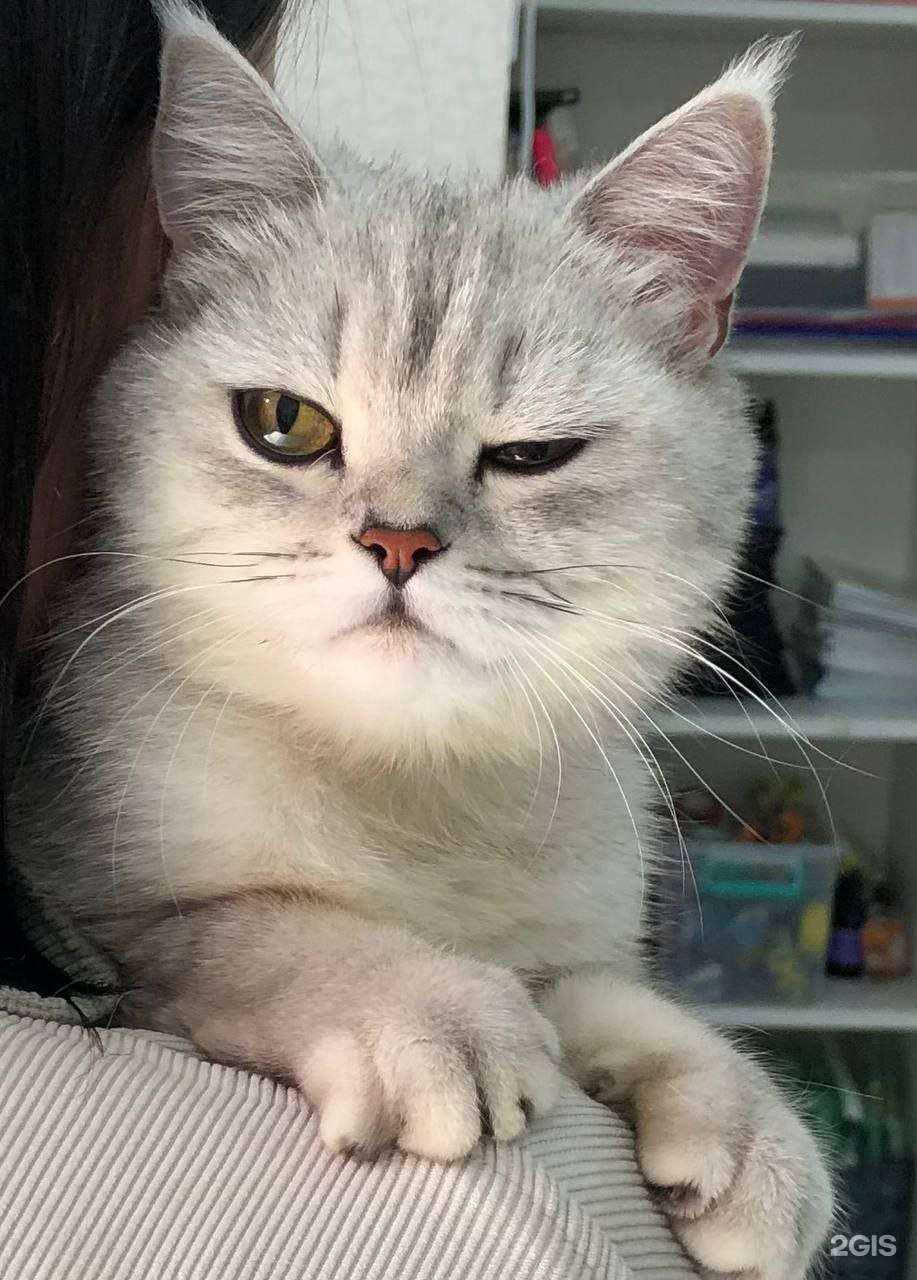 Отзывы на компанию Фауна в Твери c фото