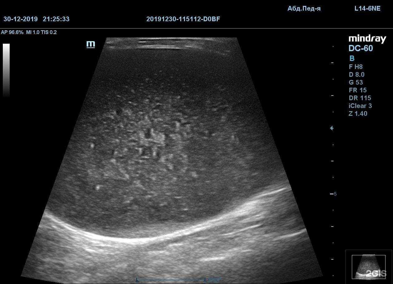 Отзывы на компанию Doctor vet в г. Саратов c фото