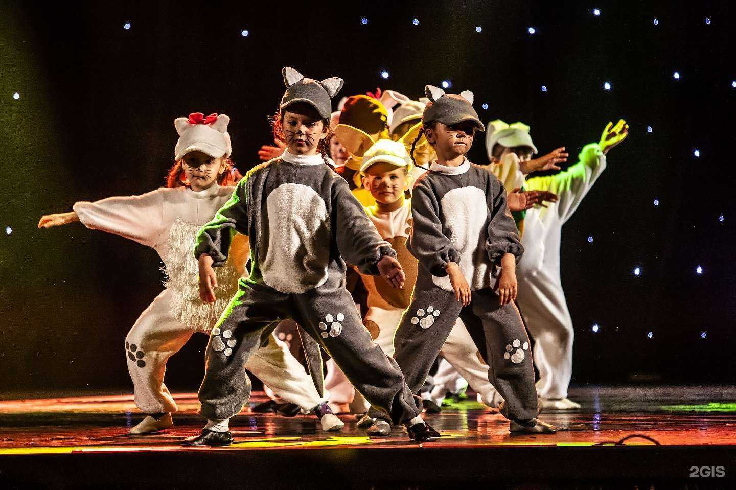 Отзывы на компанию Калининградская лига танцев в Калининграде c фото