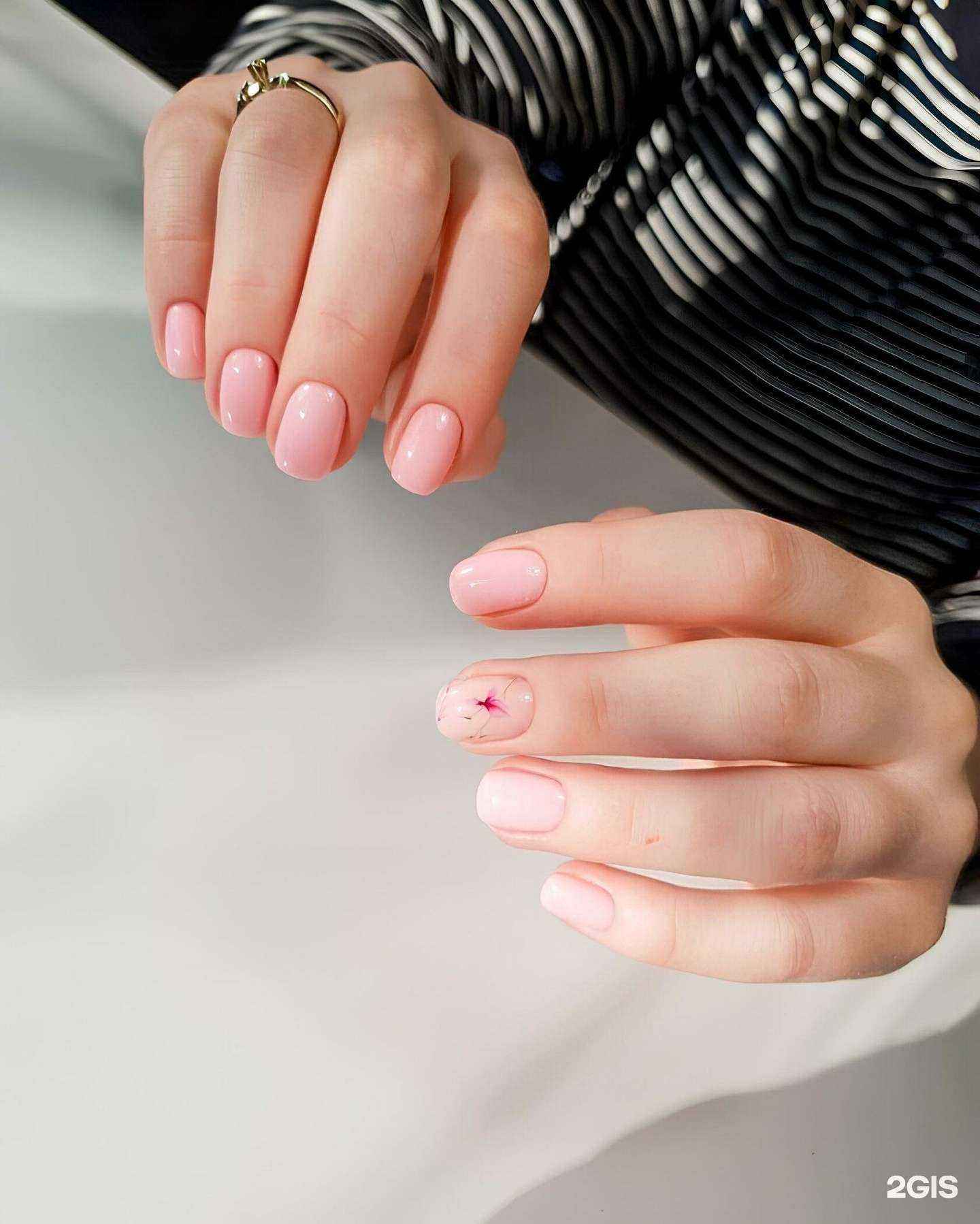 Отзывы на компанию Zebra_studio в Рязани c фото