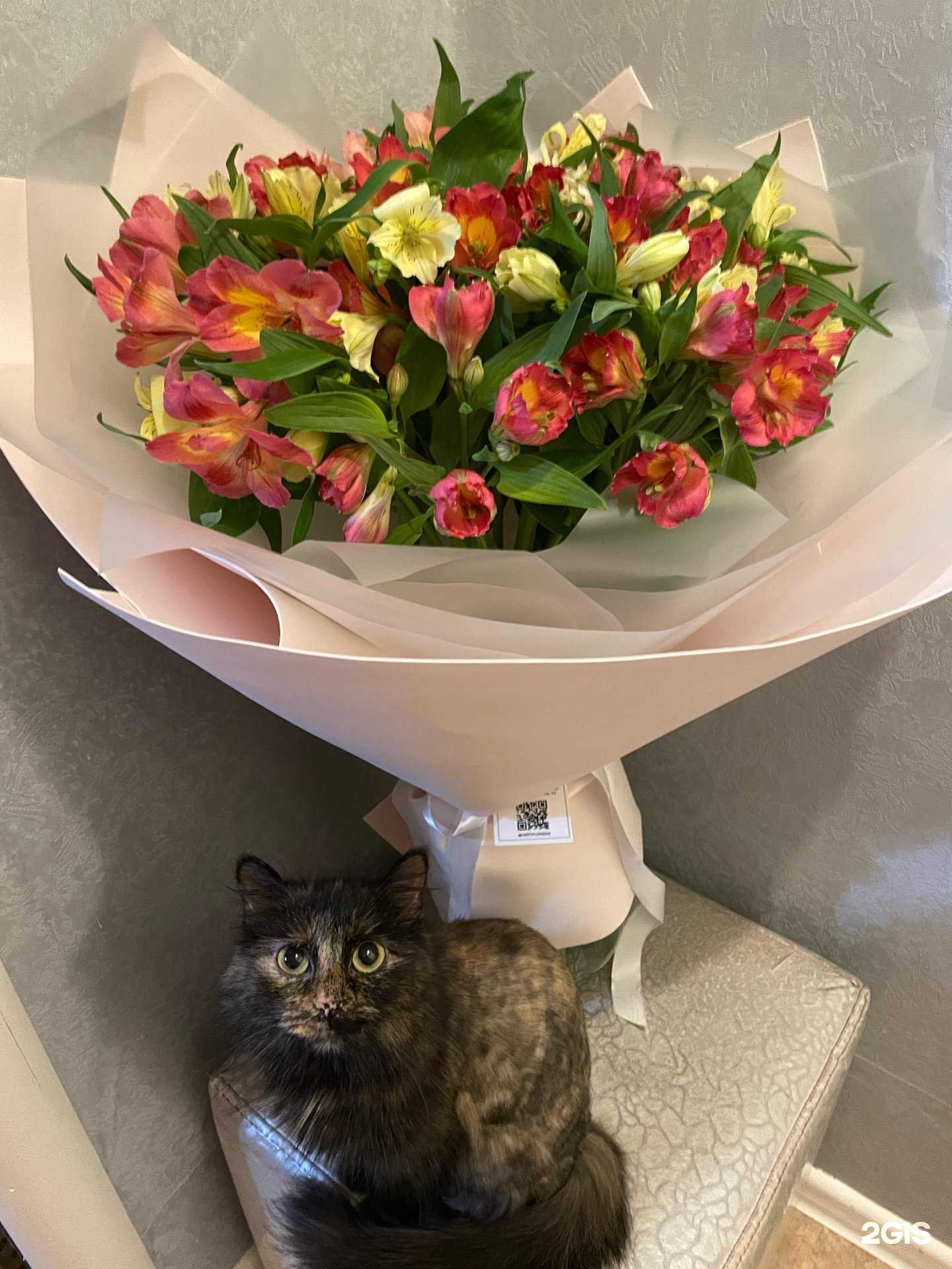 Отзывы на компанию Happy Flower в Волгограде c фото