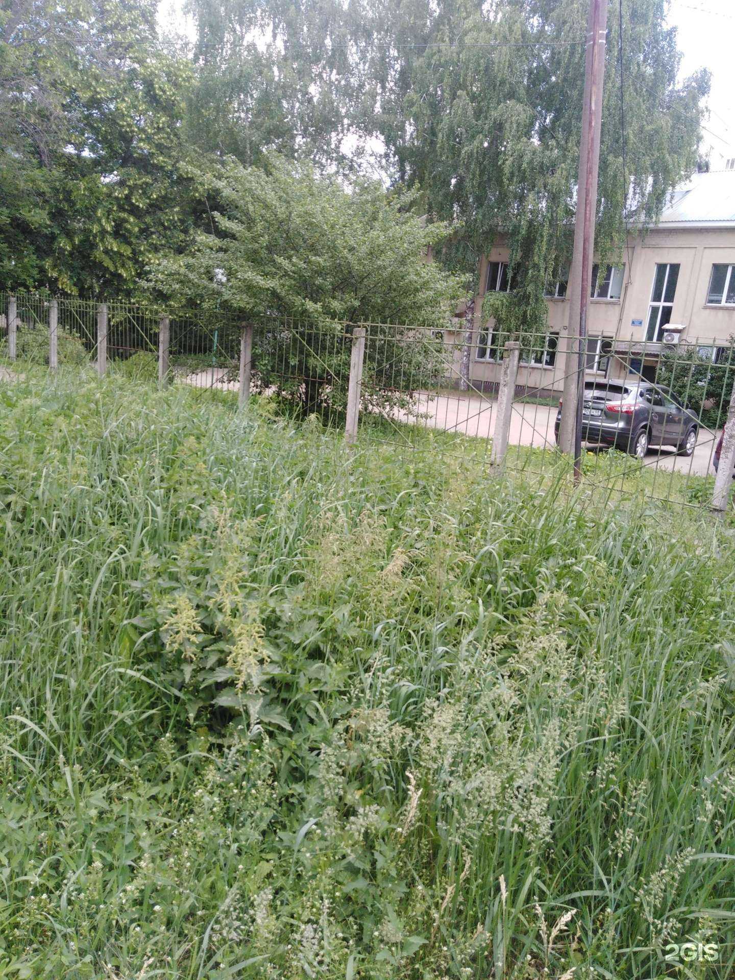 Отзывы на компанию Уникум в Тамбове c фото