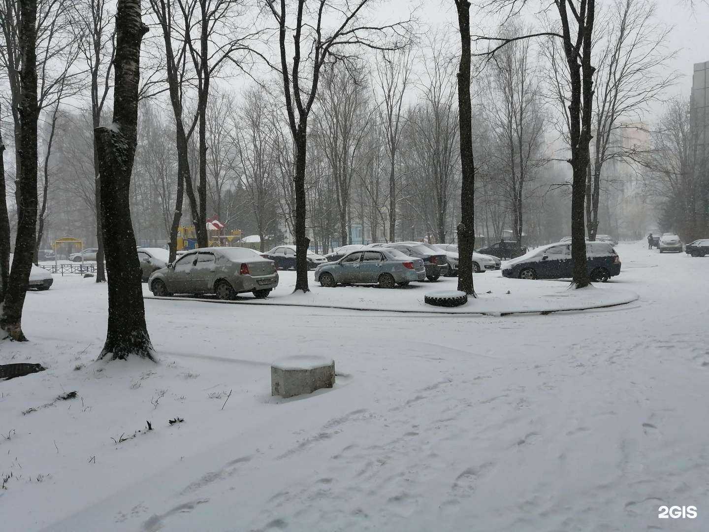 Отзывы на компанию Animus Liber в Твери c фото