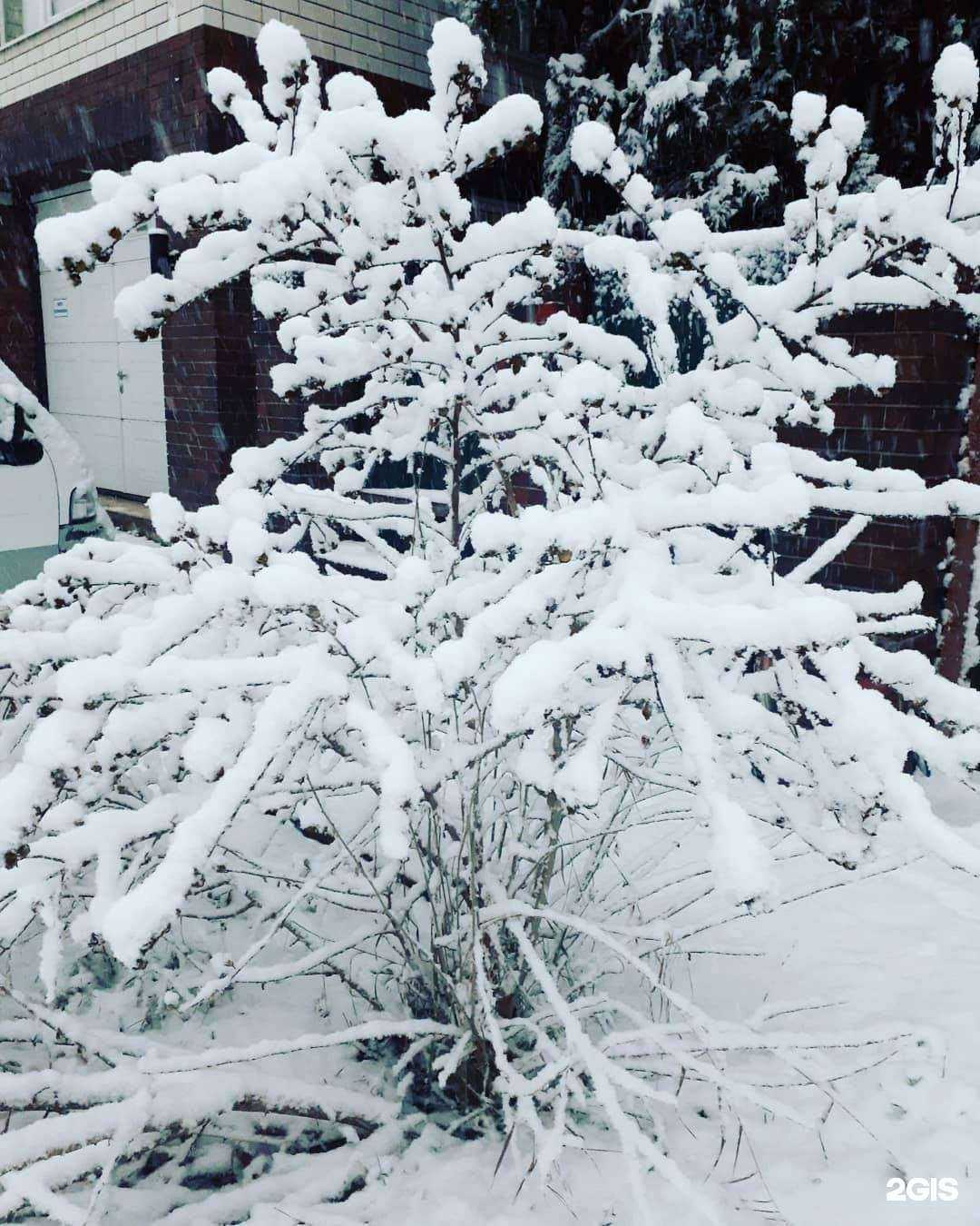 Отзывы на компанию H2О в Крымске c фото