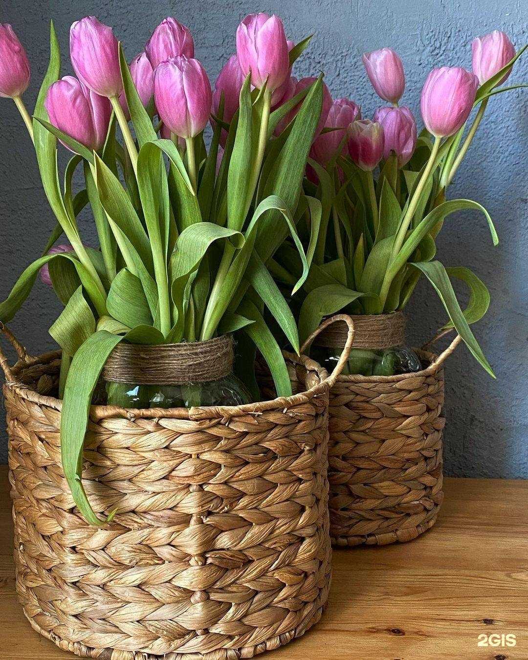 Отзывы на компанию Томатный фреш в Ангарске c фото