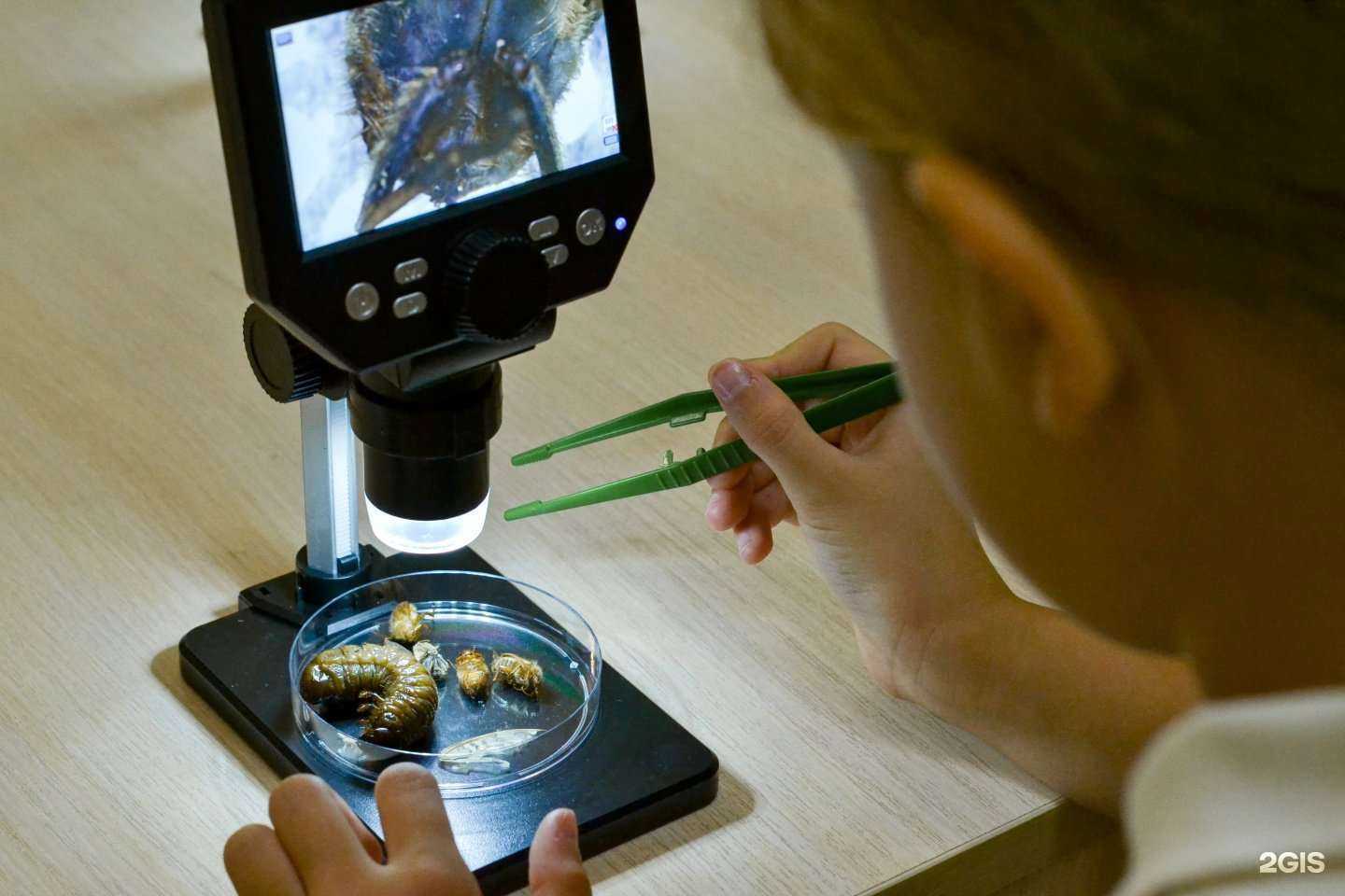 Отзывы на компанию Нахимичим запросто в г. Абакан c фото