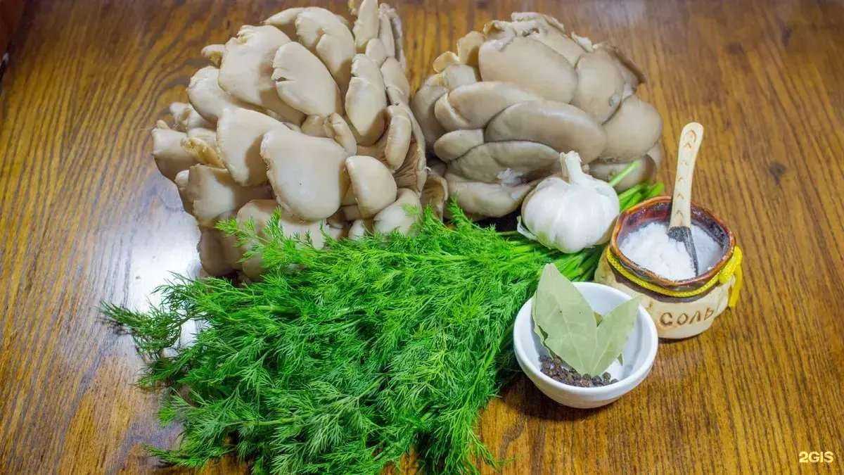 Отзывы на компанию Грибная ферма в г. Кемерово c фото