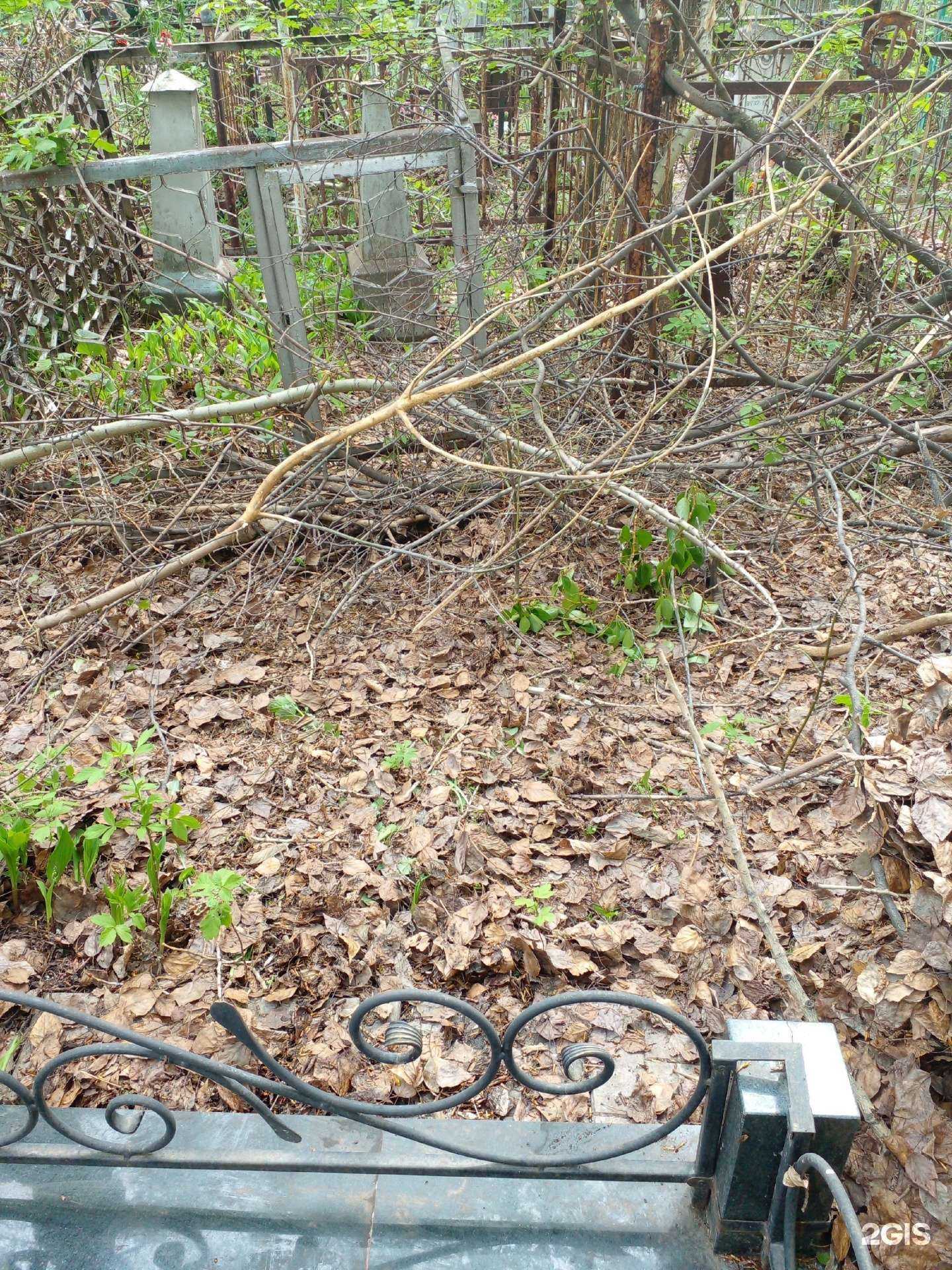 Отзывы на компанию Магазин цветов в Кемерове c фото - фотография 2 из 2