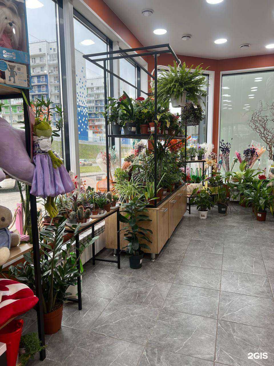 Отзывы на компанию Верба в Красноярске c фото