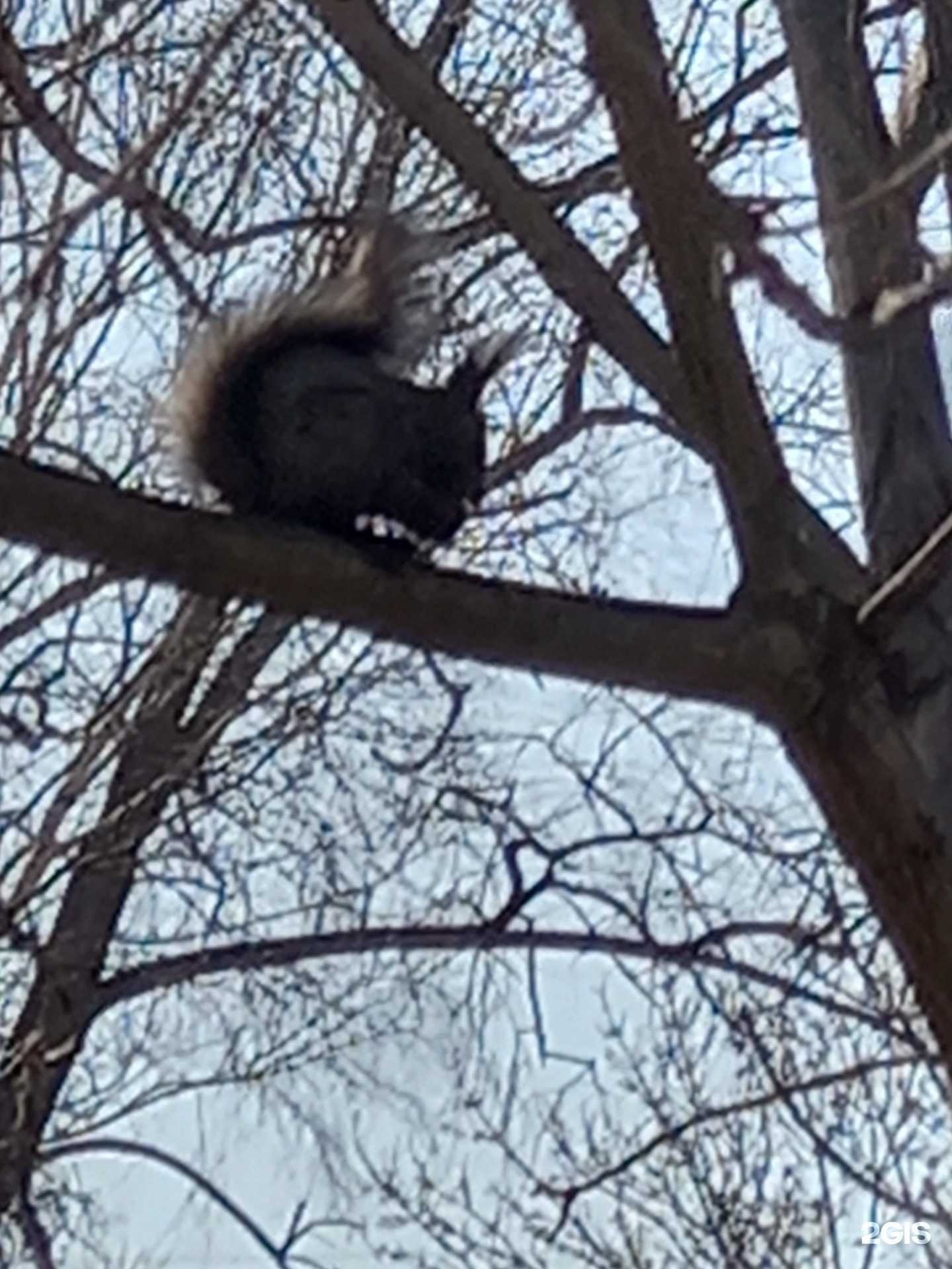 Отзывы на компанию Маэстро в г. Находка c фото