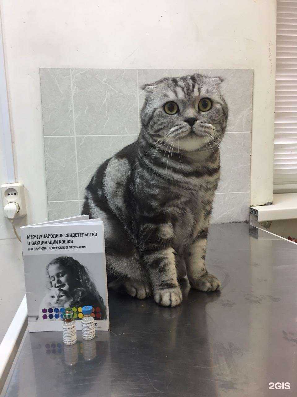 Отзывы на компанию Поливет в г. Якутск c фото