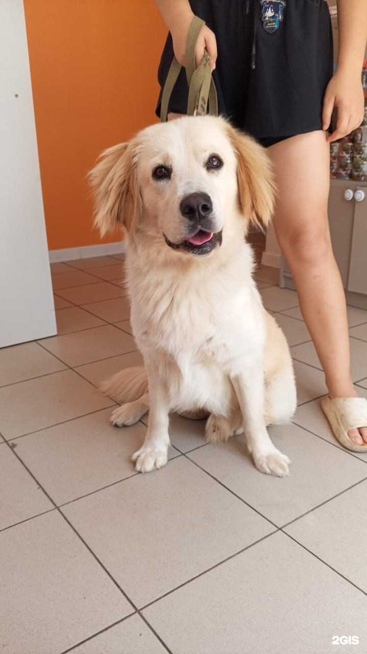 Отзывы на компанию Барс в Сочи c фото