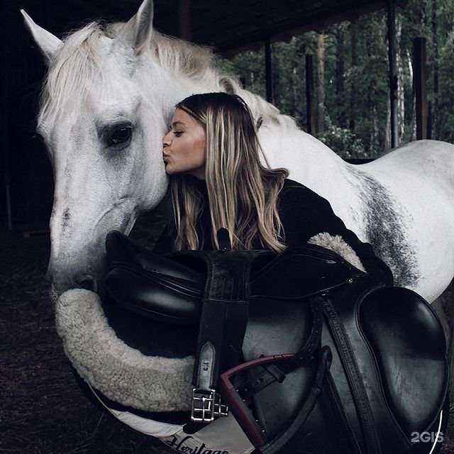 Отзывы на компанию Сосновый бор в г. Новосибирск c фото