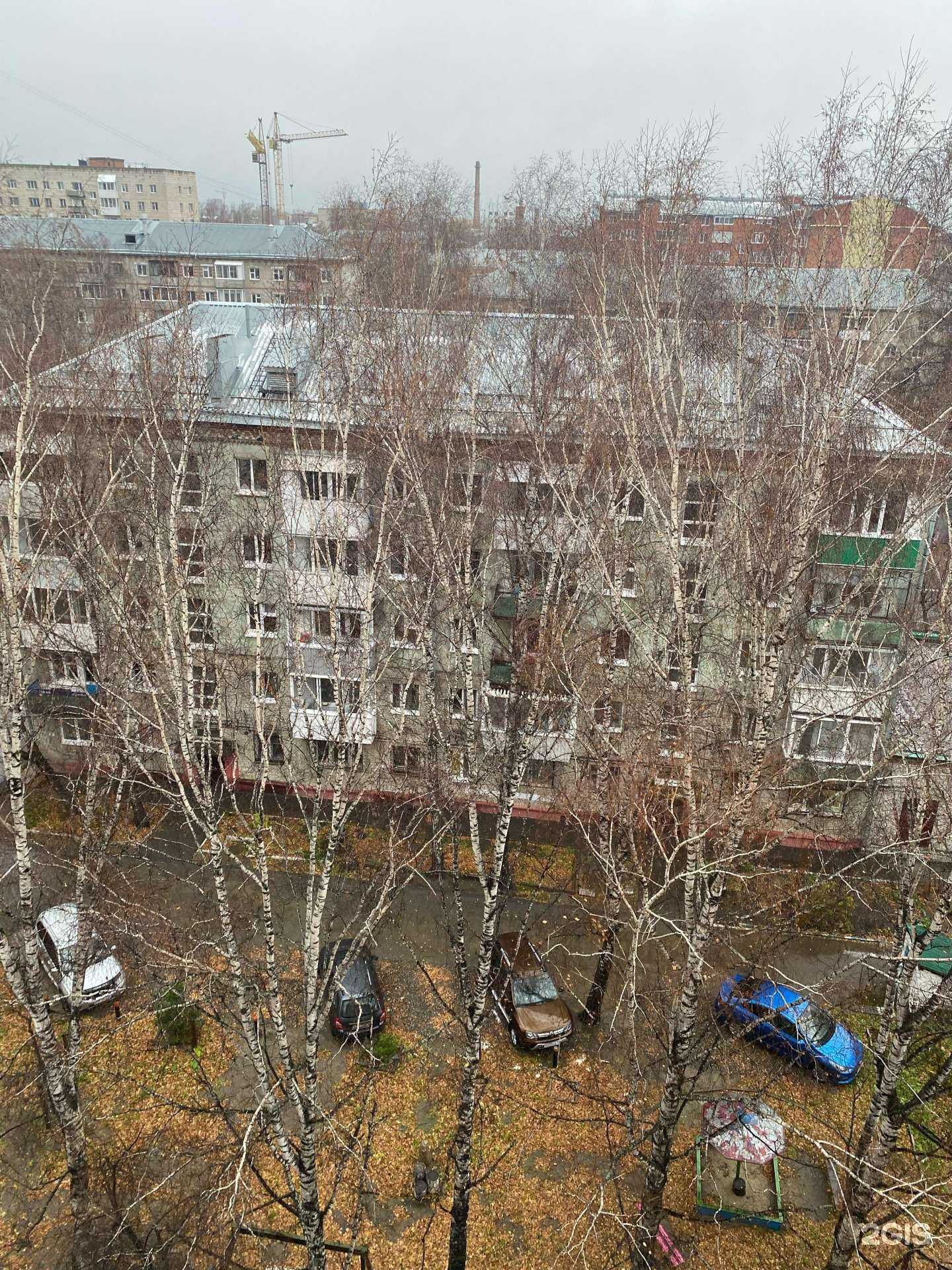 Отзывы на компанию Планета Зоо в Томске c фото - фотография 2 из 2