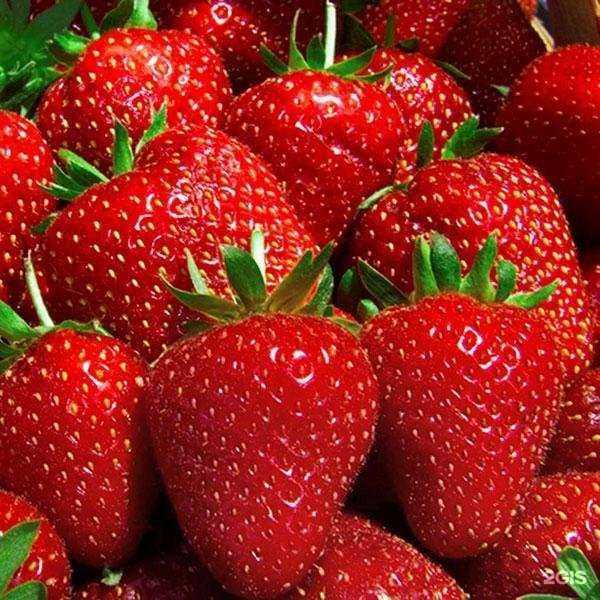 Отзывы на компанию Лиотех в Уфе c фото