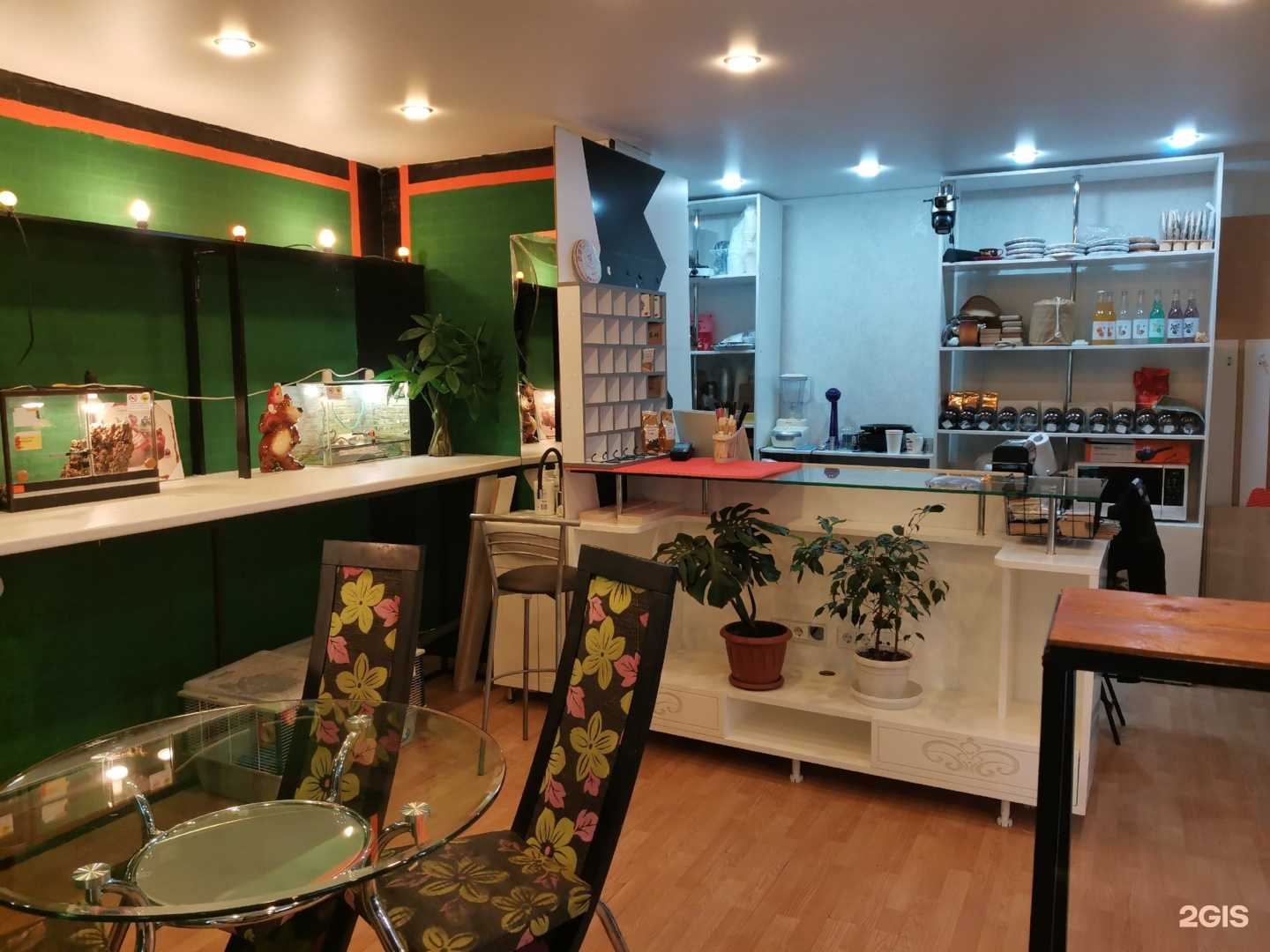 Отзывы на компанию ЭкzоУрал в Челябинске c фото