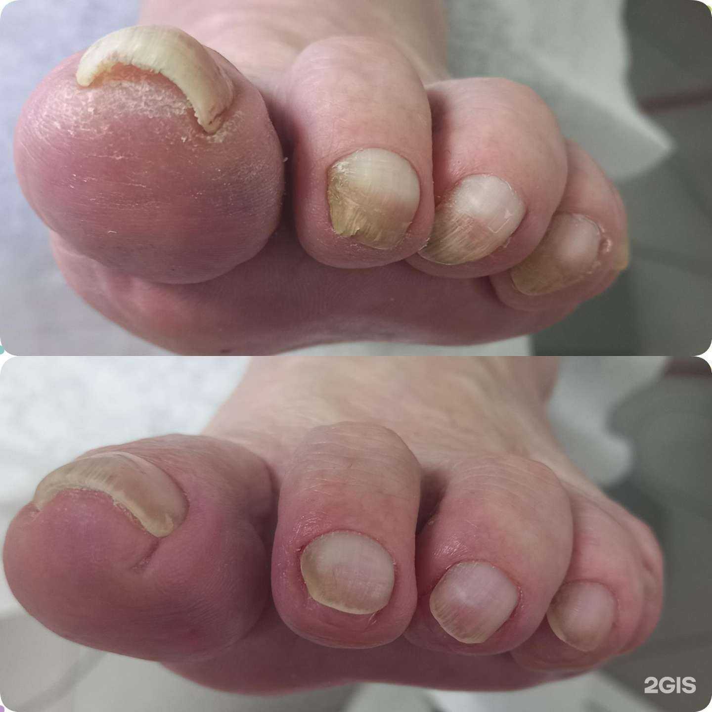 Отзывы на компанию Lucky Frog в Южно-Сахалинске c фото