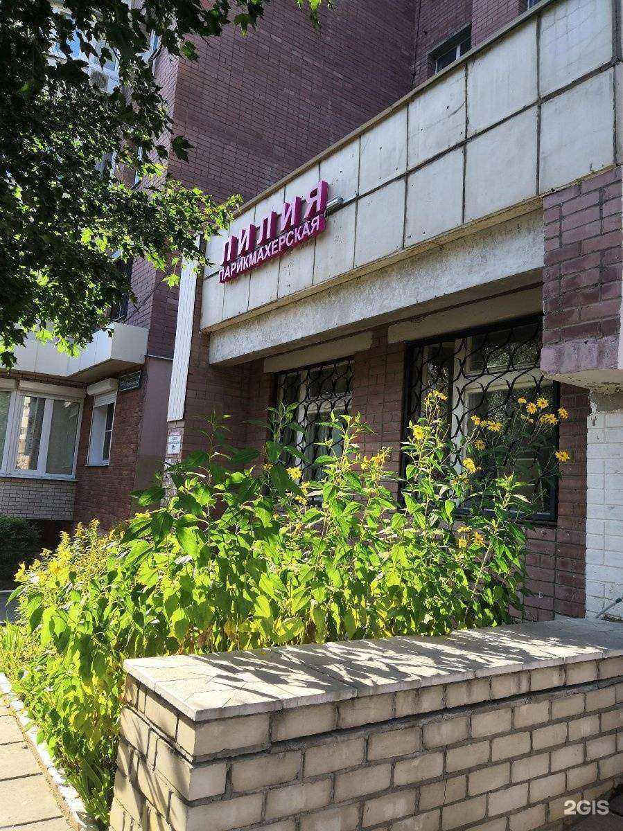 Отзывы на компанию Лилия в Воронеже c фото