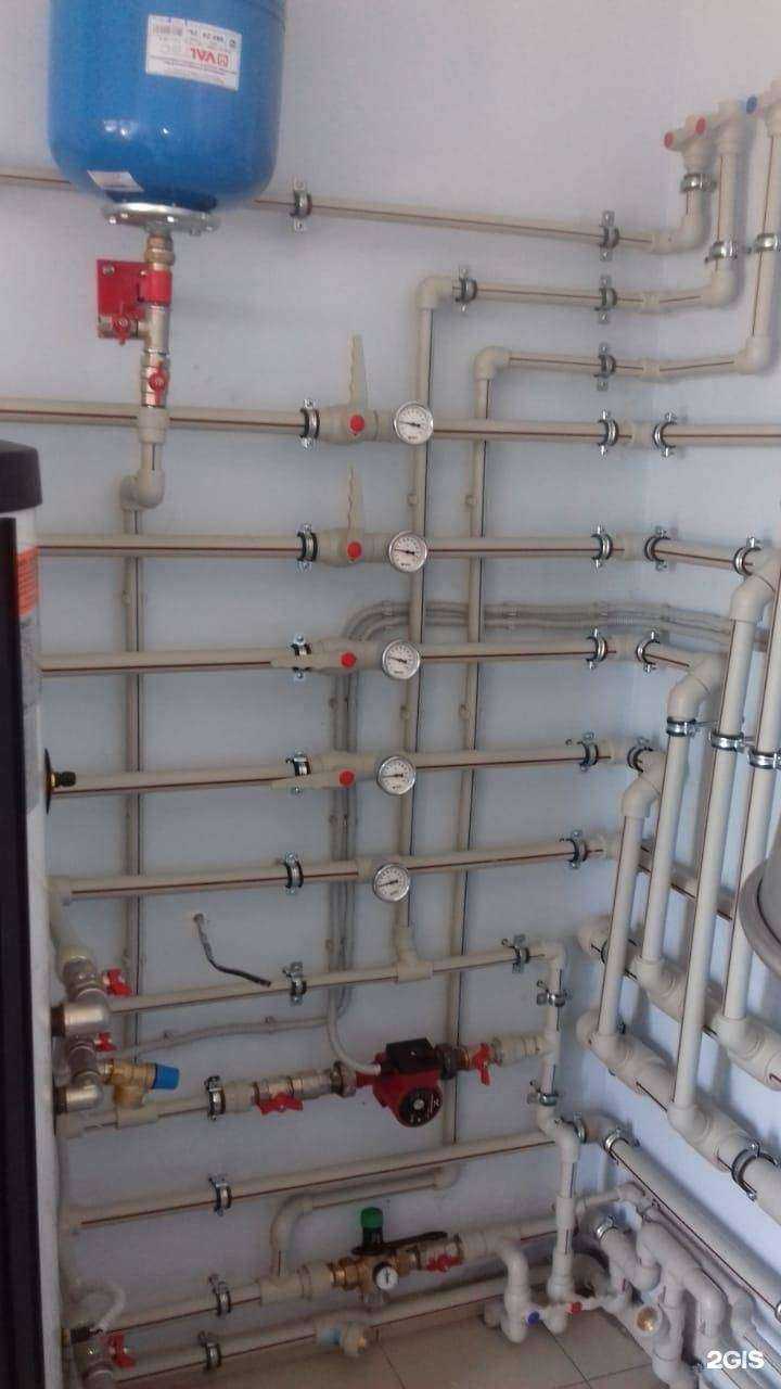 Отзывы на компанию Котлёнок в Сочи c фото