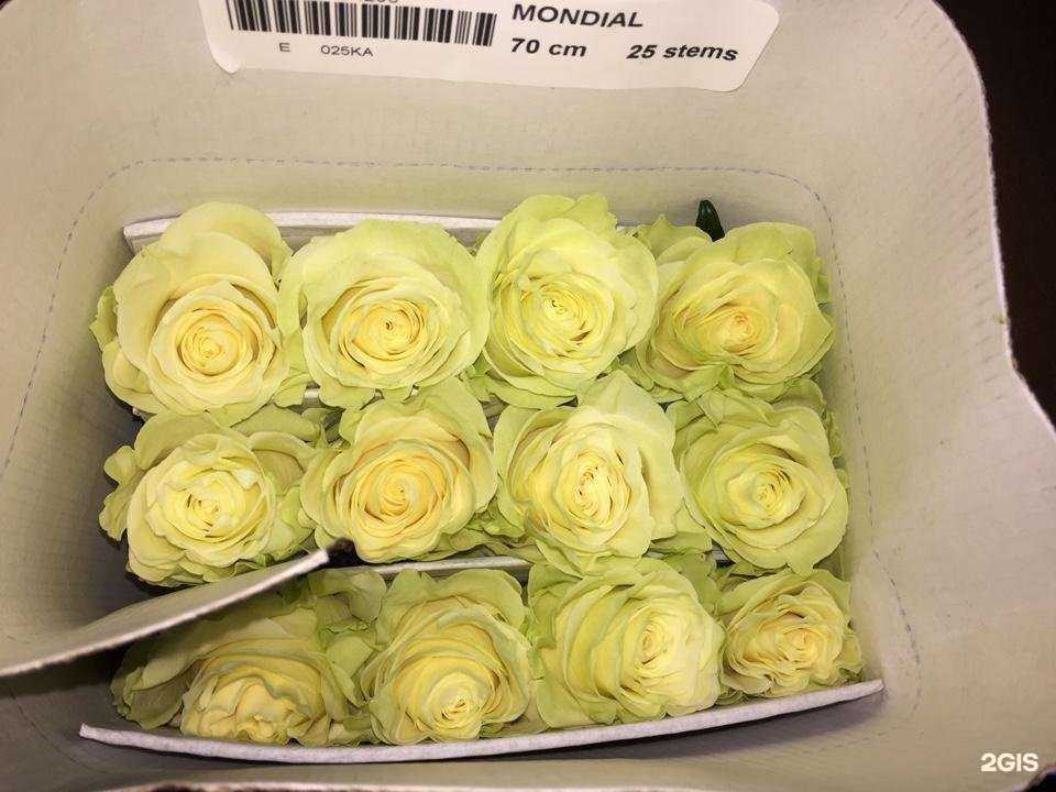 Отзывы на компанию Аркус в г. Одинцово c фото