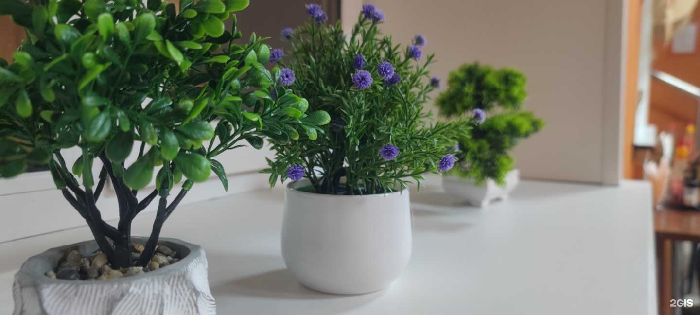 Отзывы на компанию Восток в г. Чита c фото