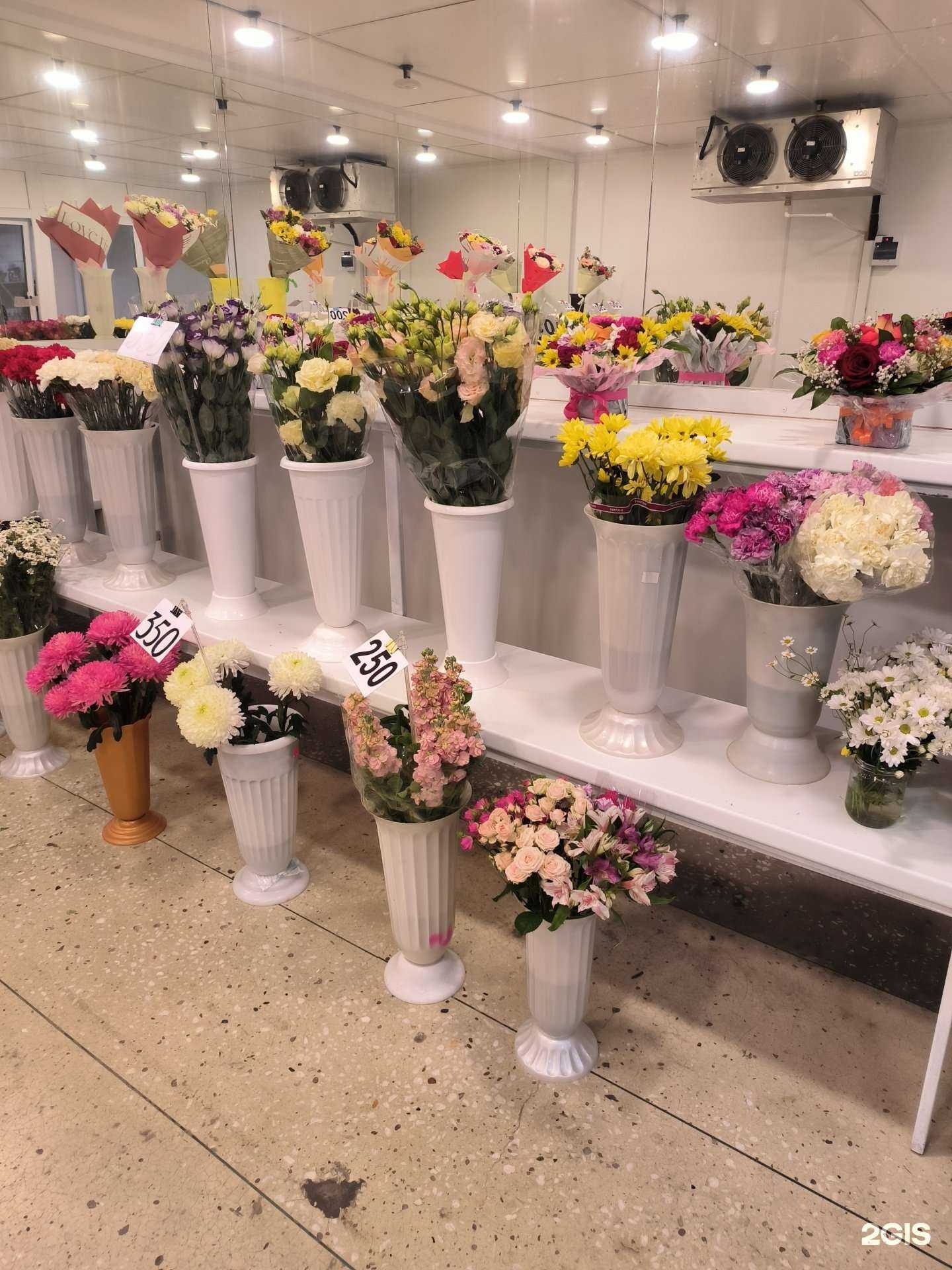 Отзывы на компанию Орхидея в г. Сургут c фото