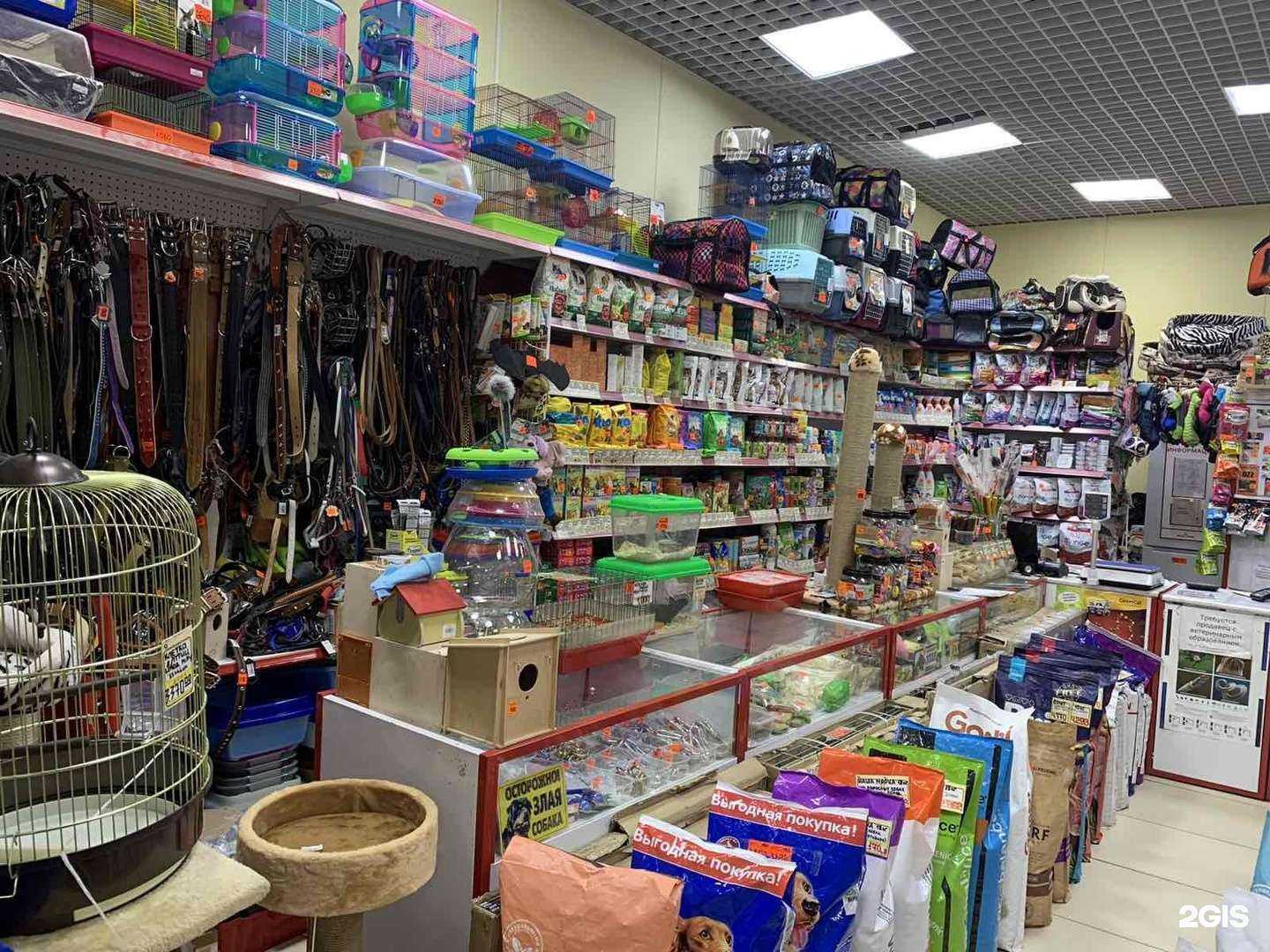 Отзывы на компанию Зоомагазин в Иванове c фото