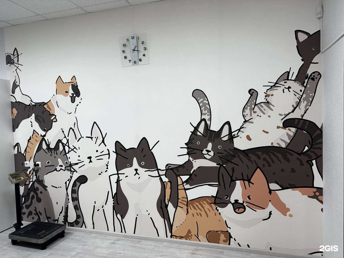 Отзывы на компанию Ласточка в г. Чебоксары c фото