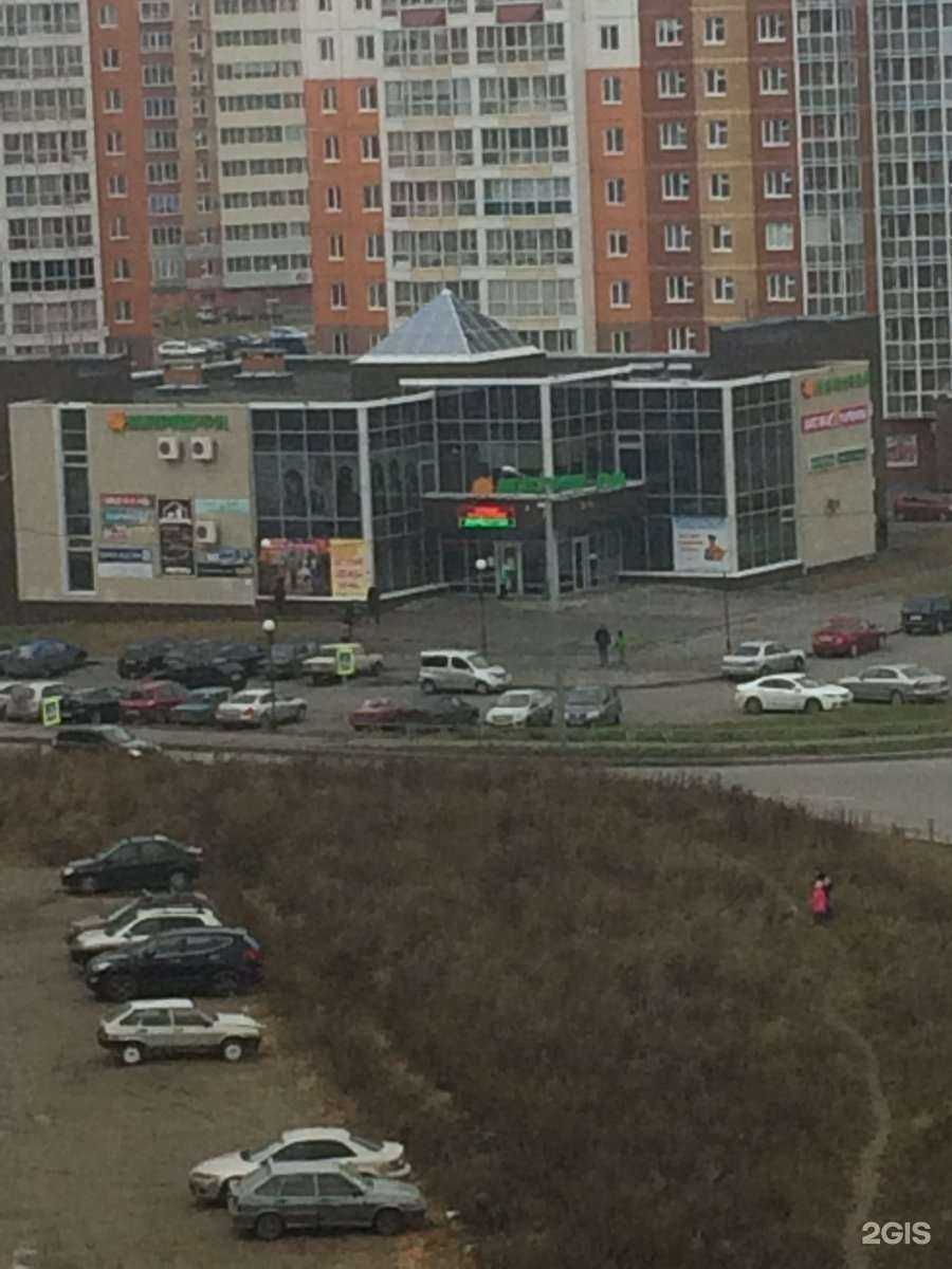 Отзывы на компанию Планета Зоо в Томске c фото - фотография 2 из 2