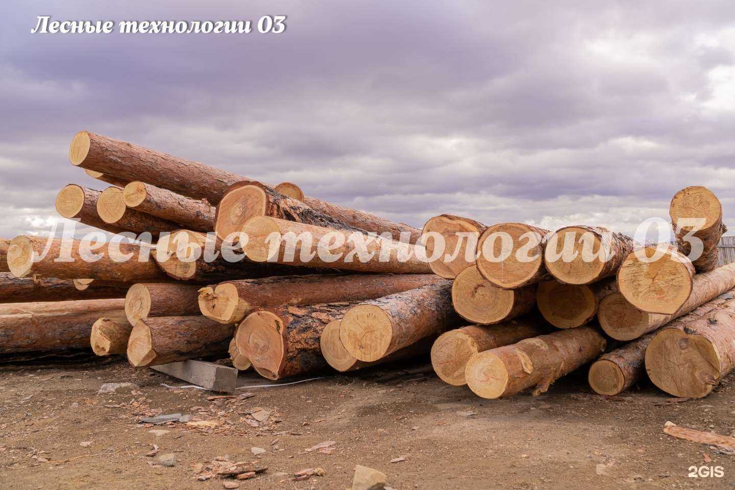 Отзывы на компанию Лесные технологии 03 в г. Улан-Удэ c фото