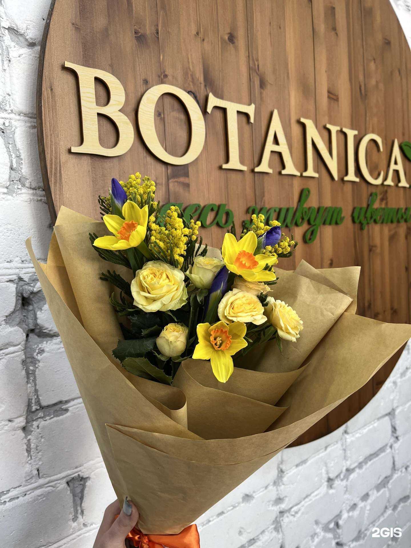 Отзывы на компанию Botanica в г. Находка c фото