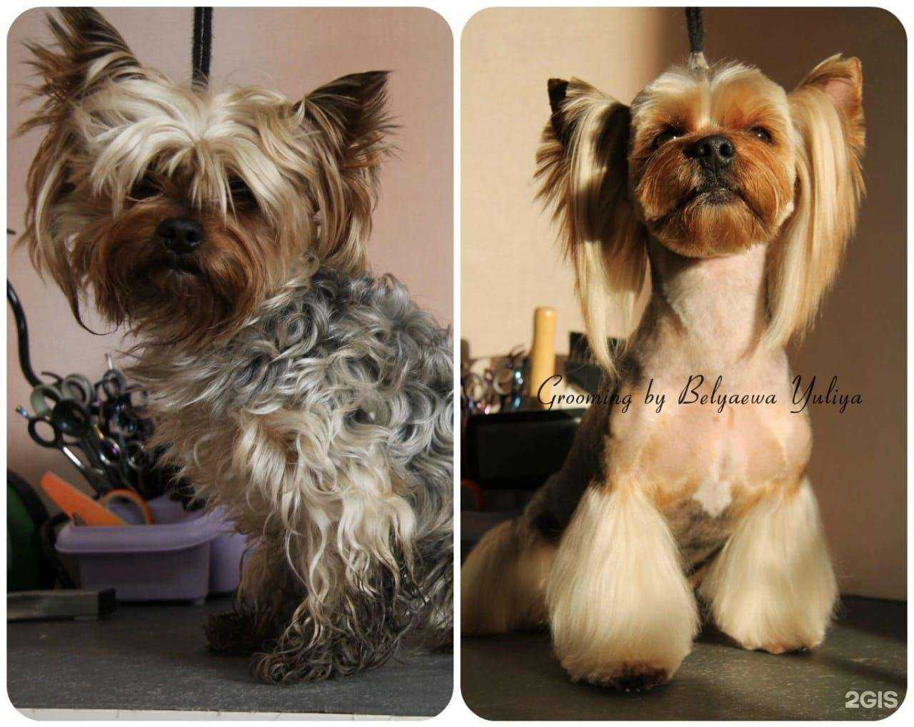 Отзывы на компанию Sharlotta в г. Омск c фото