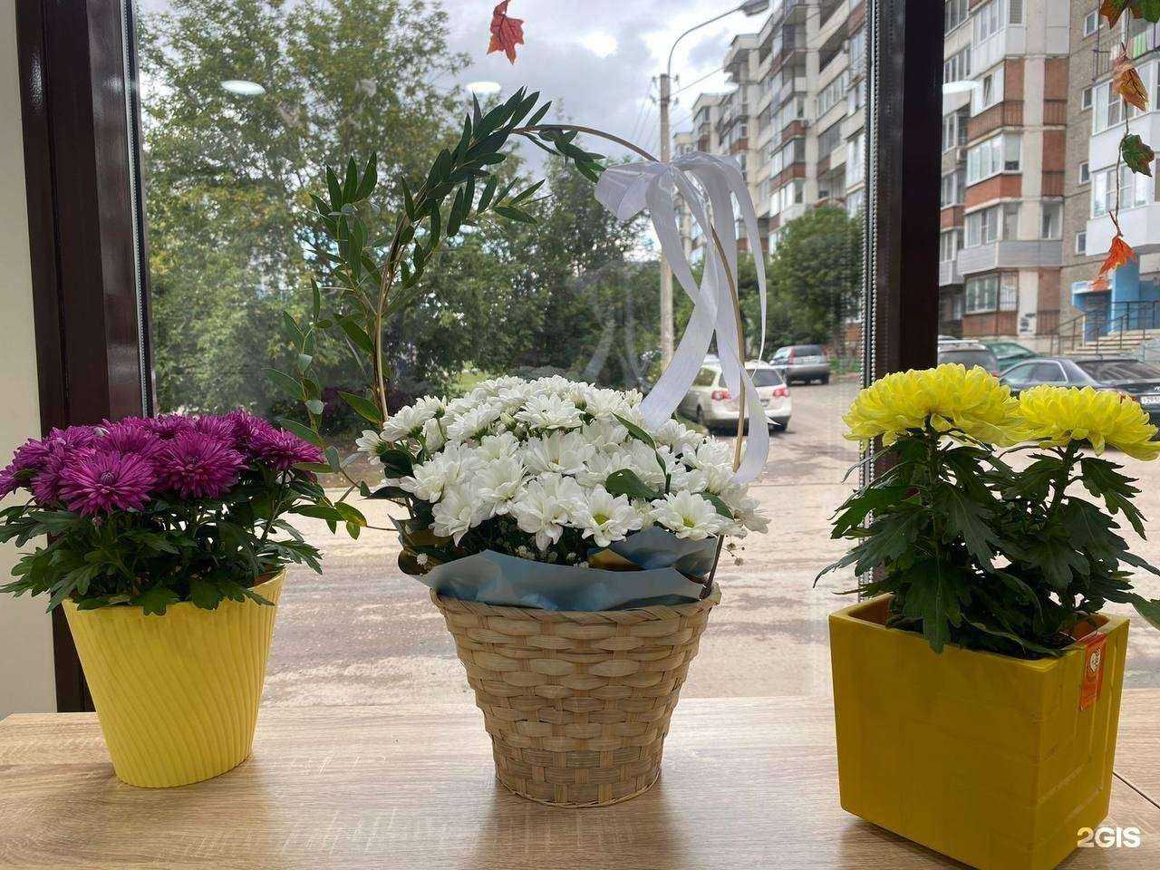 Отзывы на компанию Mon март в г. Красноярск c фото