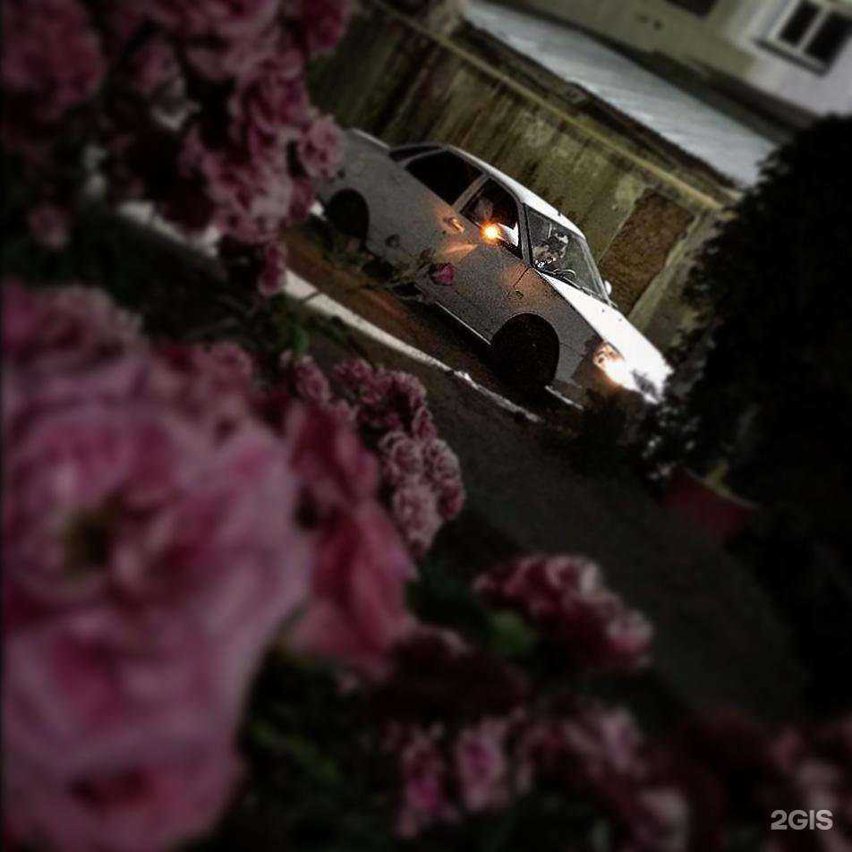 Отзывы на компанию Мир шаров в Ростове-на-Дону c фото - фотография 2 из 2