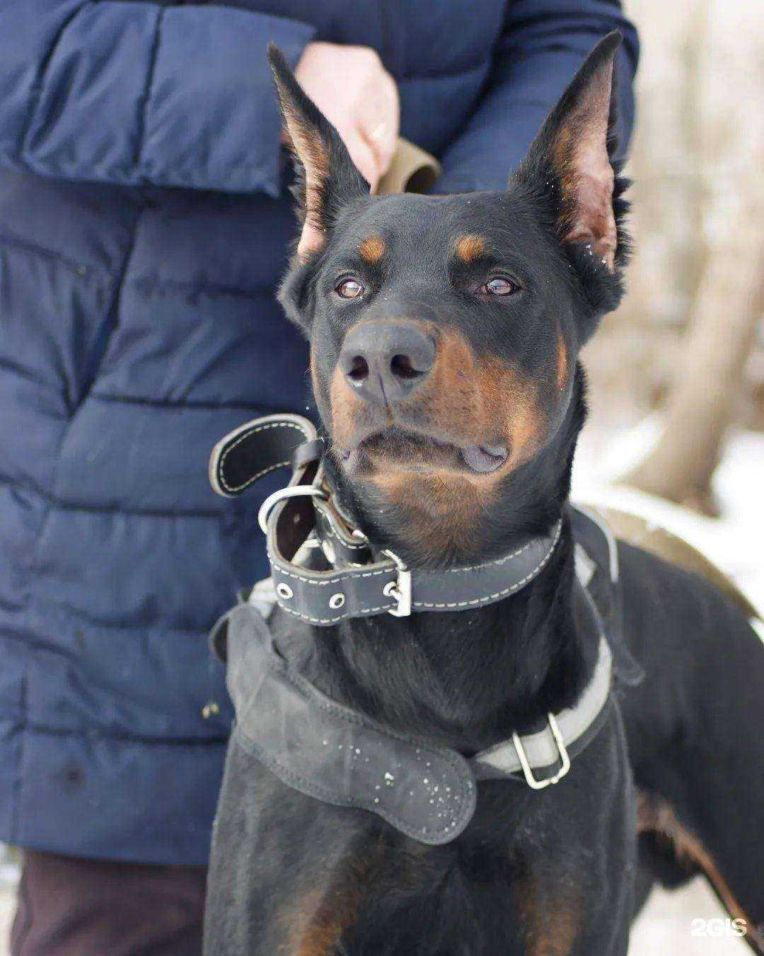 Отзывы на компанию Симуран в г. Бийск c фото