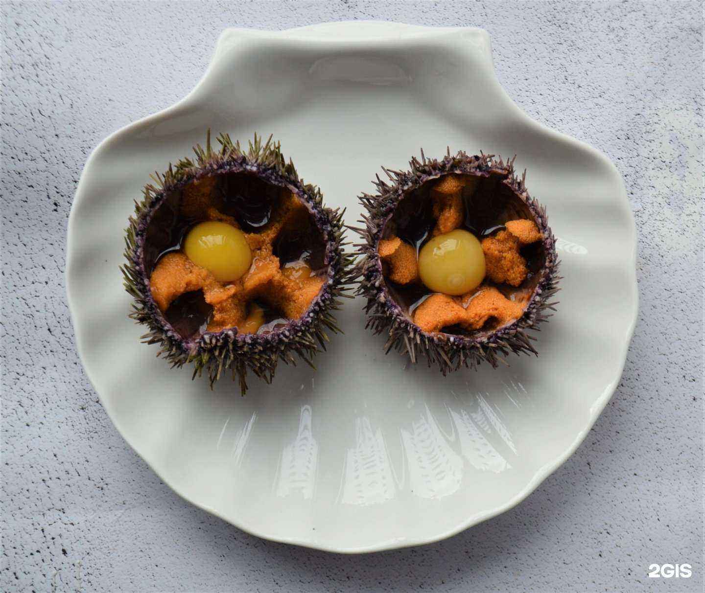 Отзывы на компанию Мидии и вино в Геленджике c фото