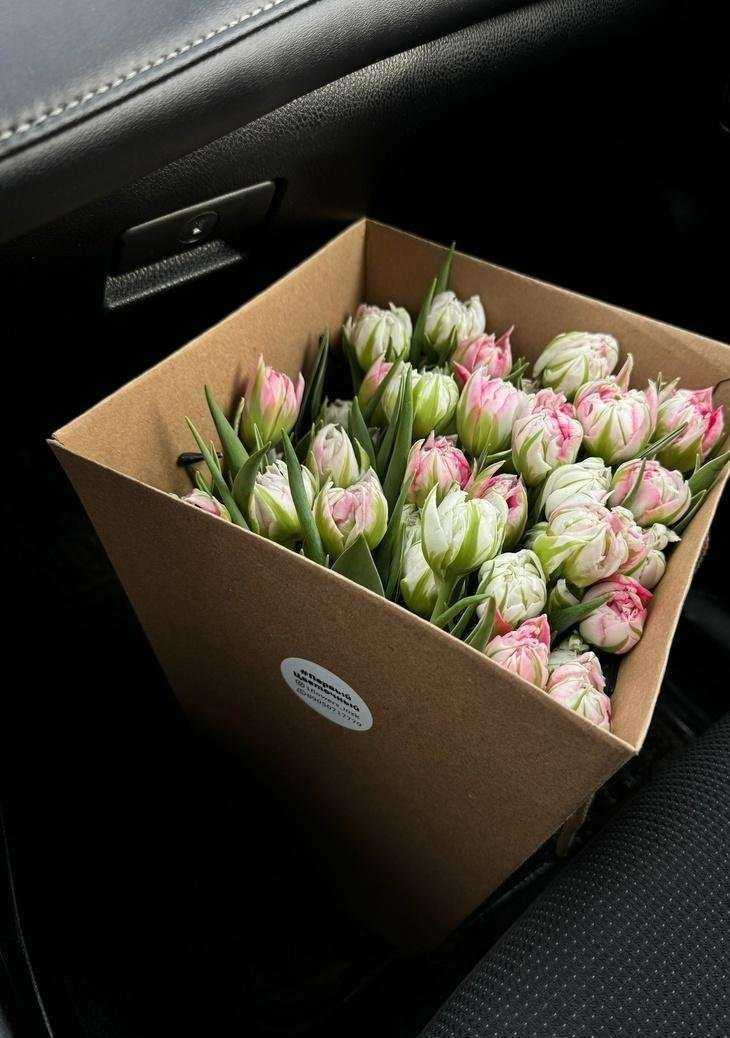 Отзывы на компанию Твой цветочный в г. Междуреченск c фото