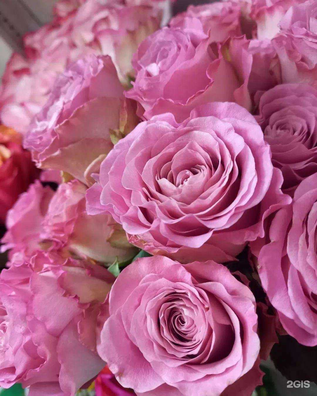 Отзывы на компанию Цветочная лавка в Шелехове c фото