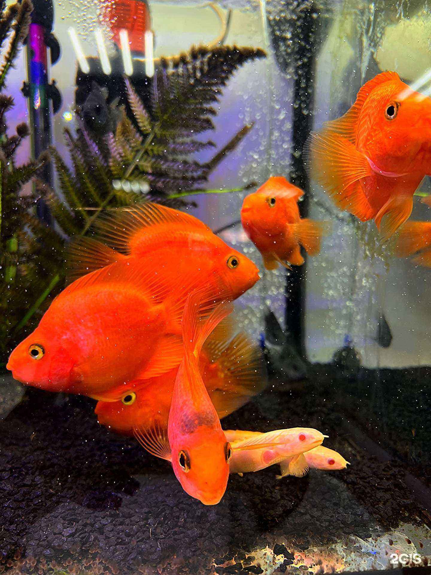 Отзывы на компанию Барбус в г. Иркутск c фото