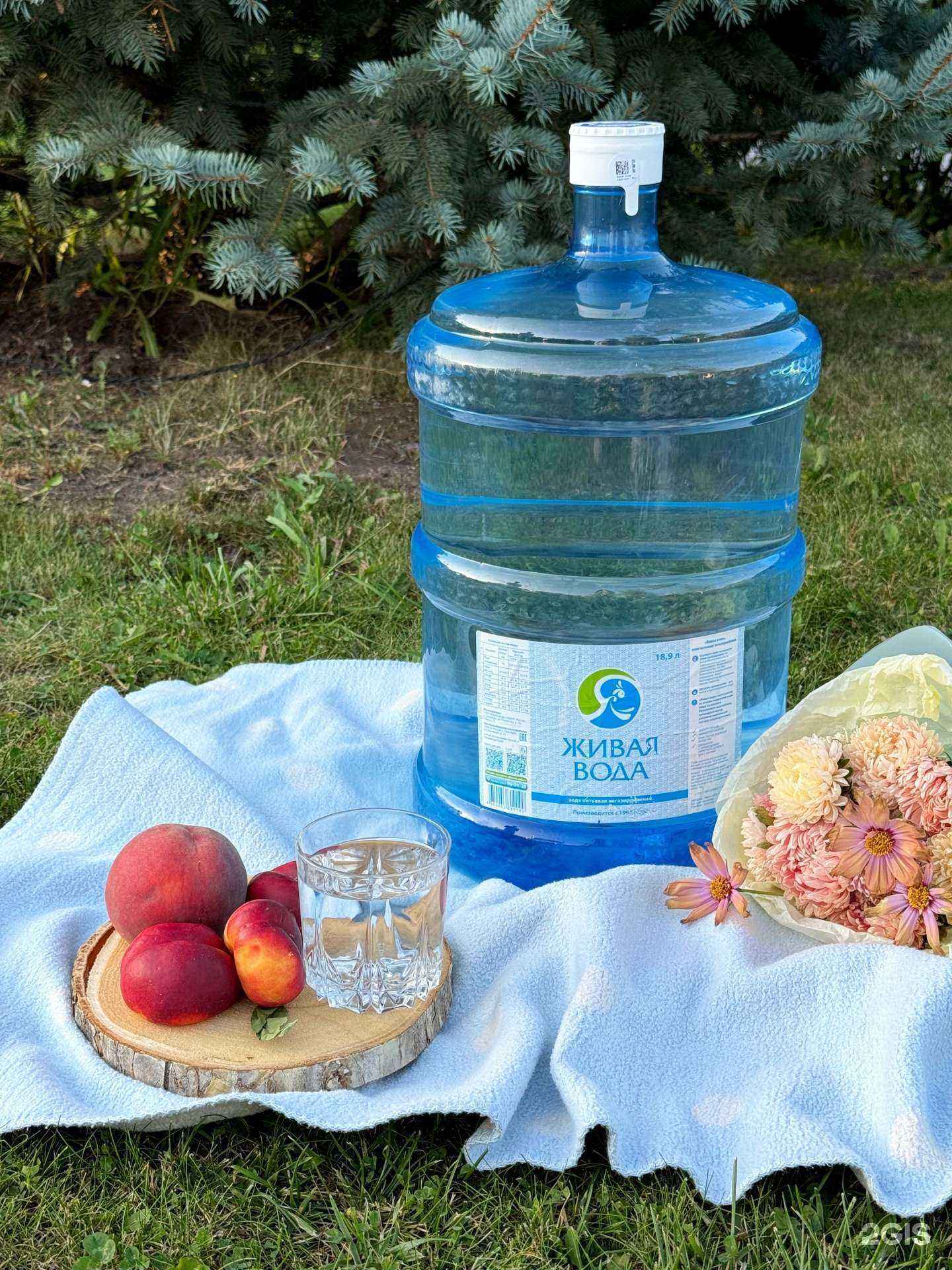 Отзывы на компанию Живая вода в г. Оренбург c фото