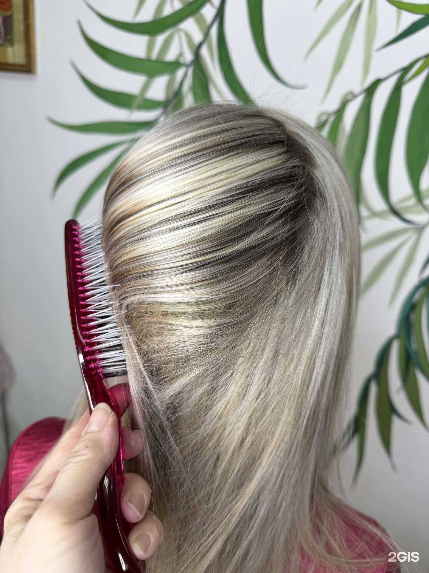 Отзывы на компанию Алиса в Йошкар-Оле c фото