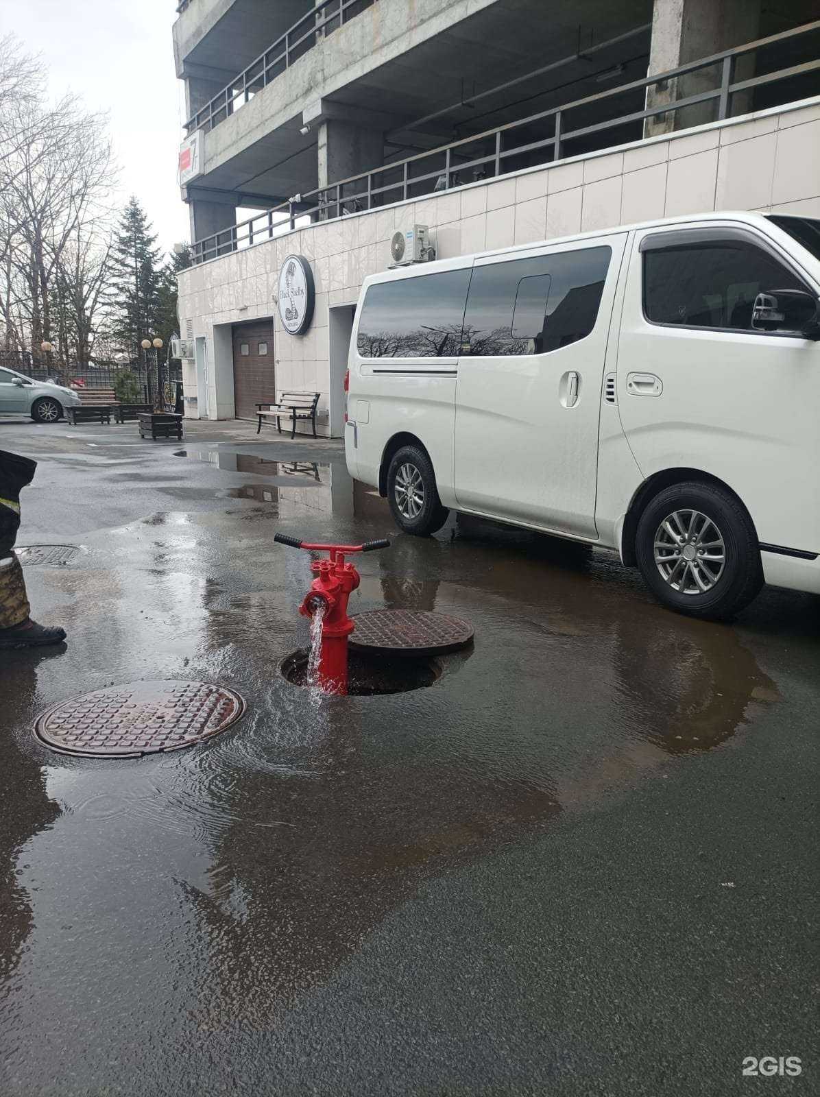 Отзывы на компанию Newance в Владивостоке c фото